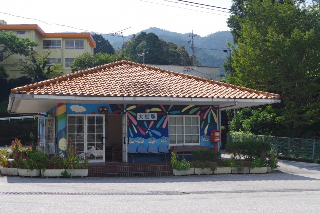 IMGP1547