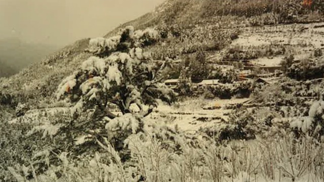 神池雪景色